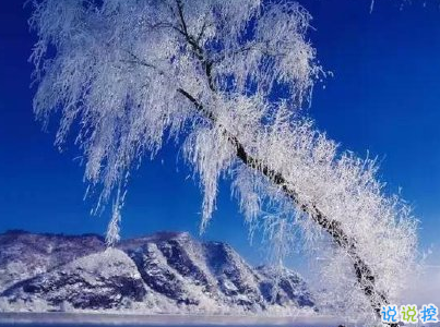 下雪天朋友圈唯美說說配圖 下雪了說說簡短一句話4