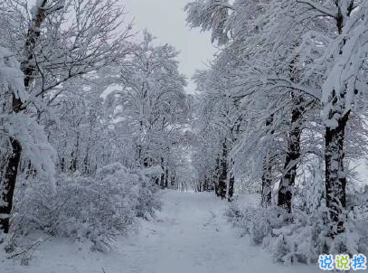 下雪天朋友圈唯美說說配圖 下雪了說說簡短一句話13