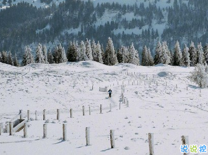 下雪天朋友圈唯美說說配圖 下雪了說說簡短一句話1