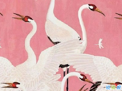 微博毒雞湯大全帶圖片 毒雞湯句子簡(jiǎn)短一句話11