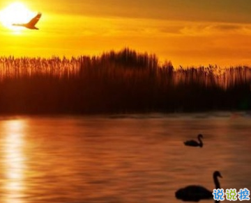 那些感動人溫暖人的句子合集 十分經(jīng)典且暖心的話2