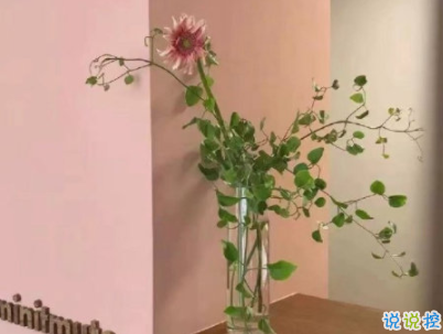 讓人心動的甜句子配圖 很甜很可愛的說說女生最愛14