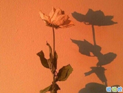 唯美經(jīng)典語錄帶圖片 寫進心窩的經(jīng)典說說配圖12