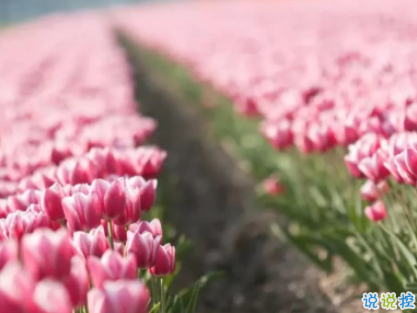 簡(jiǎn)單早安說(shuō)說(shuō)致自己 30句很勵(lì)志的早安心語(yǔ)2