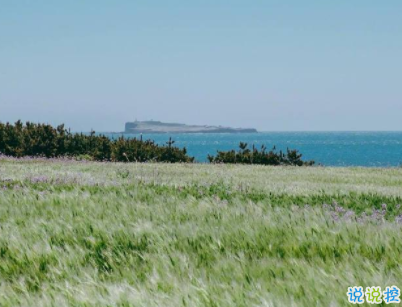 治愈系文字簡短好聽帶圖片 陽光般治愈的溫暖說說配圖1