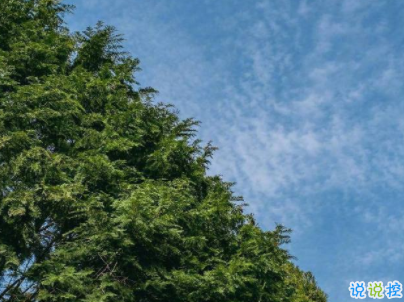 治愈系文字簡短好聽帶圖片 陽光般治愈的溫暖說說配圖8