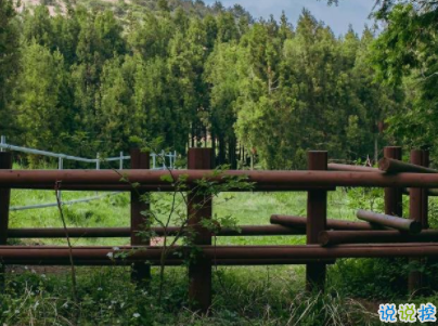 治愈系文字簡短好聽帶圖片 陽光般治愈的溫暖說說配圖14