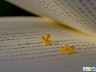 十分經(jīng)典情感語(yǔ)錄帶圖片 簡(jiǎn)約文藝風(fēng)愛情說(shuō)說(shuō)1