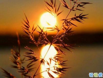 十分經(jīng)典情感語(yǔ)錄帶圖片 簡(jiǎn)約文藝風(fēng)愛情說(shuō)說(shuō)6