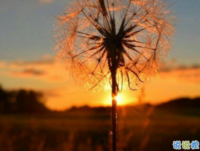 十分經(jīng)典情感語(yǔ)錄帶圖片 簡(jiǎn)約文藝風(fēng)愛情說(shuō)說(shuō)12