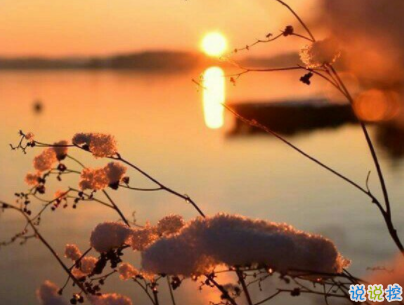 十分經(jīng)典情感語(yǔ)錄帶圖片 簡(jiǎn)約文藝風(fēng)愛情說(shuō)說(shuō)4