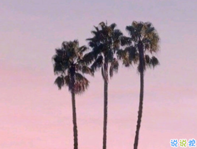 十分經(jīng)典情感語(yǔ)錄帶圖片 簡(jiǎn)約文藝風(fēng)愛情說(shuō)說(shuō)7