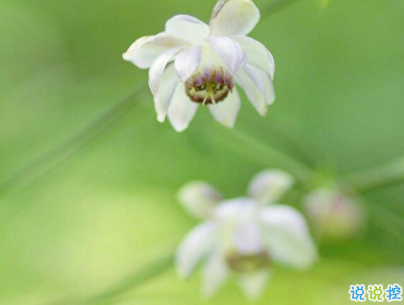 十分經(jīng)典情感語(yǔ)錄帶圖片 簡(jiǎn)約文藝風(fēng)愛情說(shuō)說(shuō)10