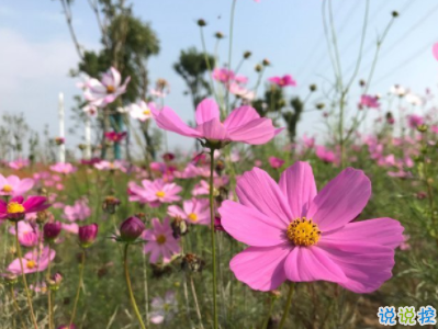 傷心至極的朋友圈說說2020最新 讓人淚崩的傷感句子配圖11