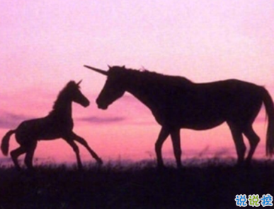 煽情又肉麻的愛情說說句子 最好的誓言是默默陪伴1