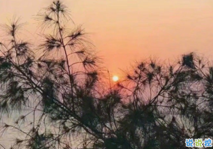 早上好英文說(shuō)說(shuō)心情短語(yǔ) 一句話早安心語(yǔ)英文帶翻譯1