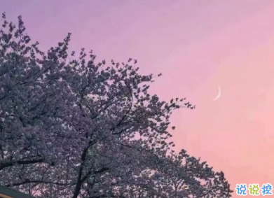 哲理句子唯美簡(jiǎn)短精辟 讓人清醒的哲理句子2