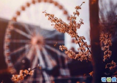 最虐心最催淚的句子 看了忍不住心疼的傷感句子2