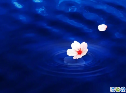 00后傷感qq說(shuō)說(shuō)大全 一個(gè)人深夜痛哭的傷感說(shuō)說(shuō)2