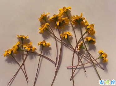 心累到崩潰的說說 難受想哭的說說疲憊不堪2