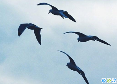 很勵志的朋友圈晚安句子 生命匆匆請善待自己1