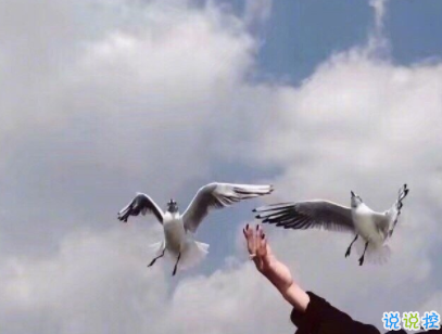 心情好的說(shuō)說(shuō)短句帶圖片 心情愉悅的簡(jiǎn)單說(shuō)說(shuō)6