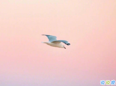 心情好的說(shuō)說(shuō)短句帶圖片 心情愉悅的簡(jiǎn)單說(shuō)說(shuō)3