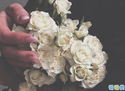 朋友圈說說傷感落寞 孤孤單單的說說很戳心1