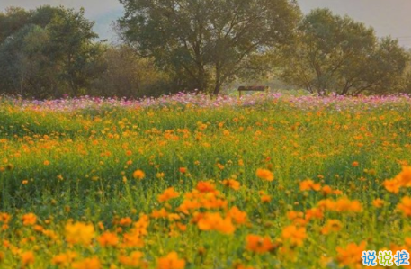 女生委屈到死的扎心句子說說帶圖片 何必把好感放大成喜歡1