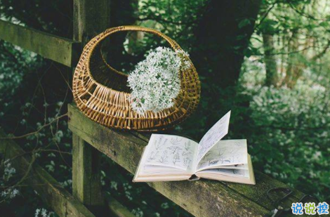 女生委屈到死的扎心句子說說帶圖片 何必把好感放大成喜歡2