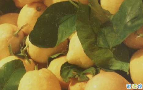 女生委屈到死的扎心句子說說帶圖片 何必把好感放大成喜歡3