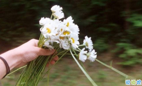 女生委屈到死的扎心句子說說帶圖片 何必把好感放大成喜歡15