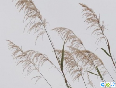 朋友圈暖心勵志句子大全帶圖片 讓人覺得溫暖的話語2