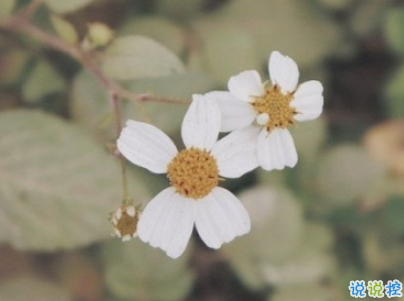 朋友圈暖心勵志句子大全帶圖片 讓人覺得溫暖的話語10