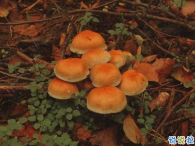 朋友圈暖心勵志句子大全帶圖片 讓人覺得溫暖的話語14