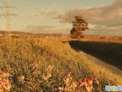 朋友圈暖心勵志句子大全帶圖片 讓人覺得溫暖的話語5