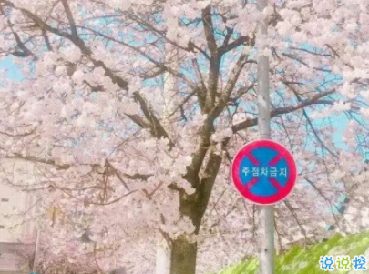 朋友圈暖心勵志句子大全帶圖片 讓人覺得溫暖的話語12