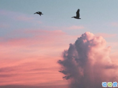 2019十一月早安問候語帶圖片 最新11月你好早安句子3