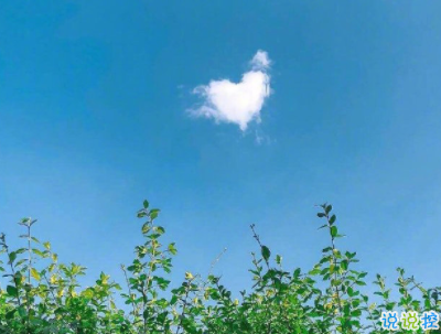 2019十一月早安問候語帶圖片 最新11月你好早安句子4