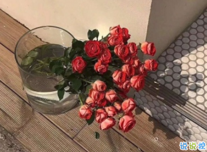 女生傷感說(shuō)說(shuō)揪心難過(guò) 眼里有淚心里有傷的說(shuō)說(shuō)2