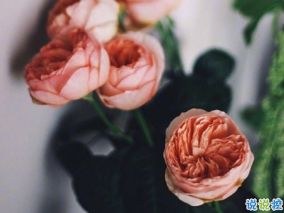 2019十一月你好微博說說配圖 元氣滿滿的句子陽光勵志9