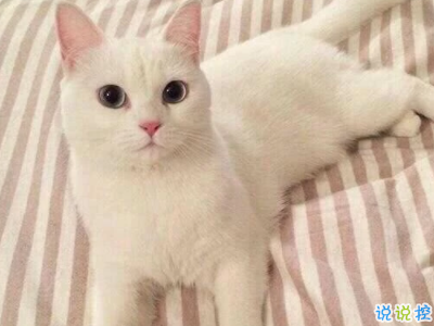 2019十一月你好微博說說配圖 元氣滿滿的句子陽光勵志7