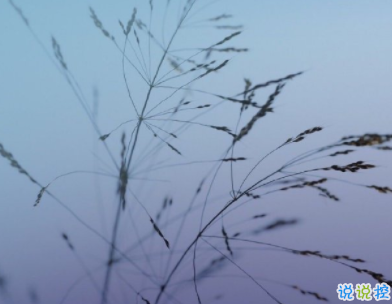 生氣心累的說說心情短語 寫給心累的所有人1