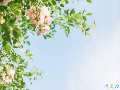 很潮很走心的經(jīng)典語(yǔ)錄 看一眼就會(huì)愛(ài)上的潮句子帶圖片6