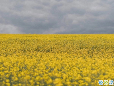 很潮很走心的經(jīng)典語(yǔ)錄 看一眼就會(huì)愛(ài)上的潮句子帶圖片13