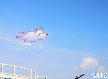 微信朋友圈沙雕皮句精選 男生女生都適用的沙雕句子2