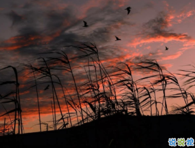 網(wǎng)絡熱門經(jīng)典說說句子配圖 一句話經(jīng)典說說帶圖片7