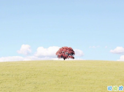 小清新唯美短句帶圖片 微信干凈又舒服的說說1