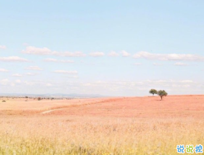 小清新唯美短句帶圖片 微信干凈又舒服的說說8