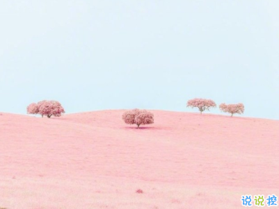 小清新唯美短句帶圖片 微信干凈又舒服的說說4